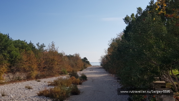 photo 2080073