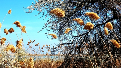 photo 2091697