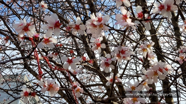 photo 2162179