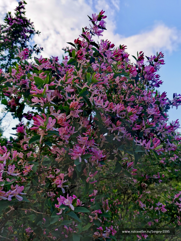 photo 2128135