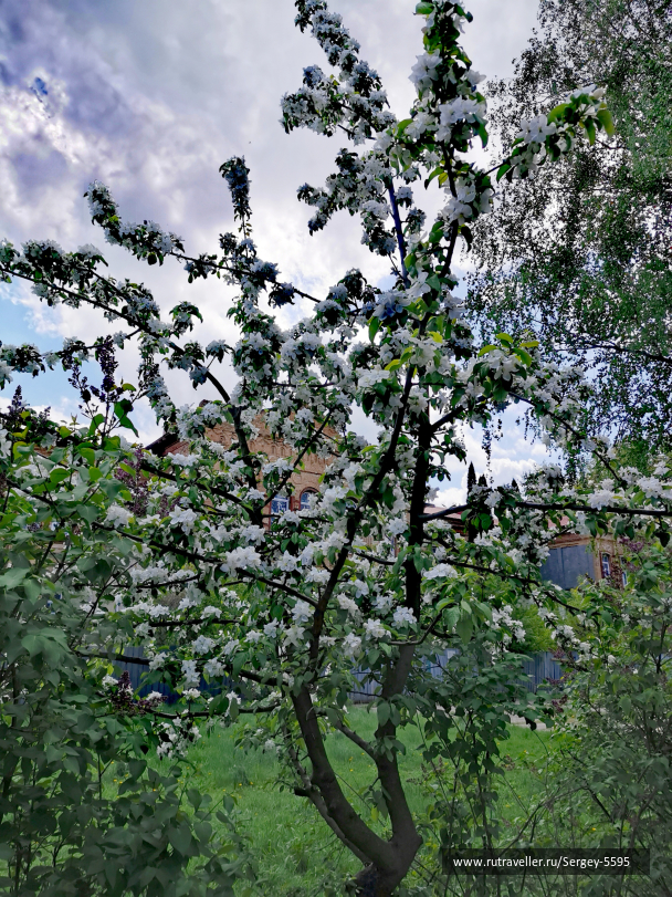 photo 2128145