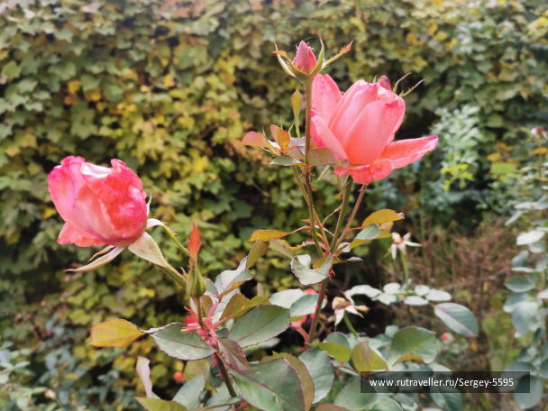 photo 2128247