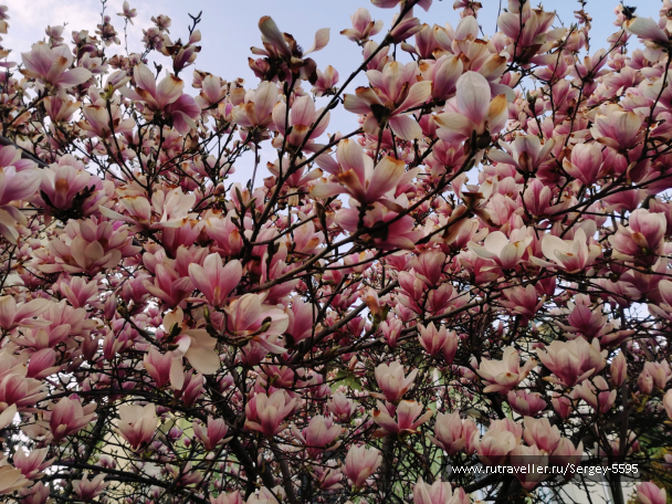 photo 2129023