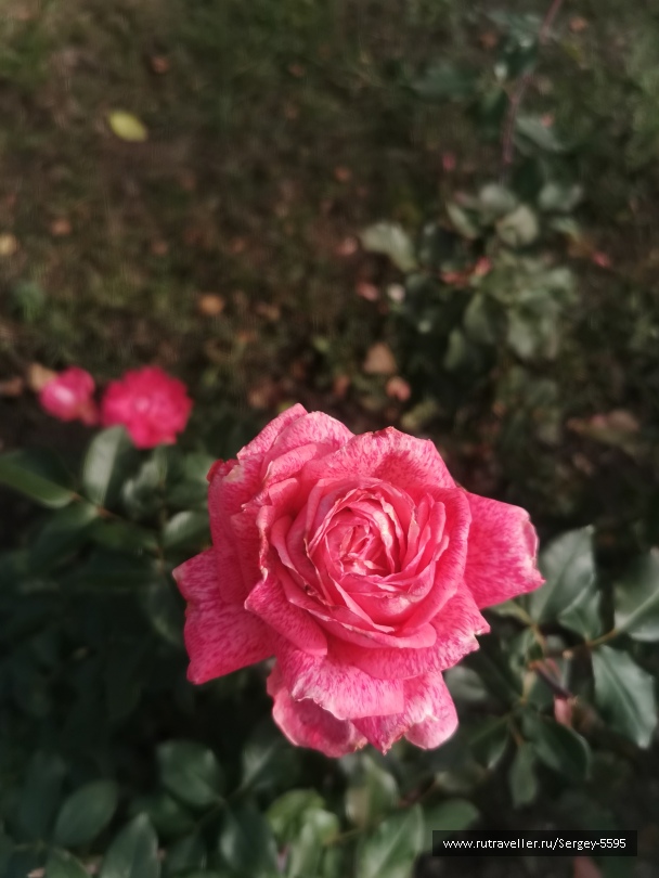 photo 2141443