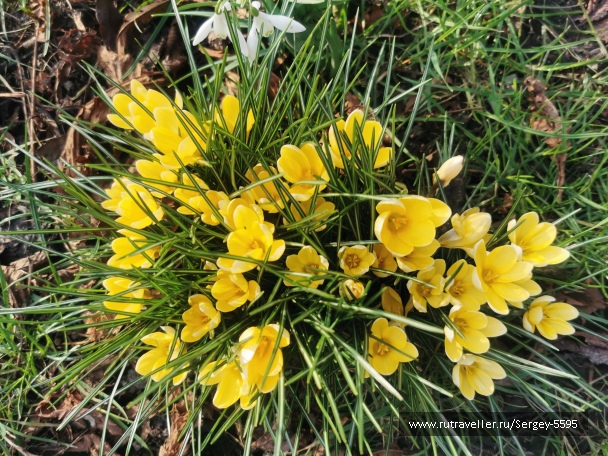 photo 2147997