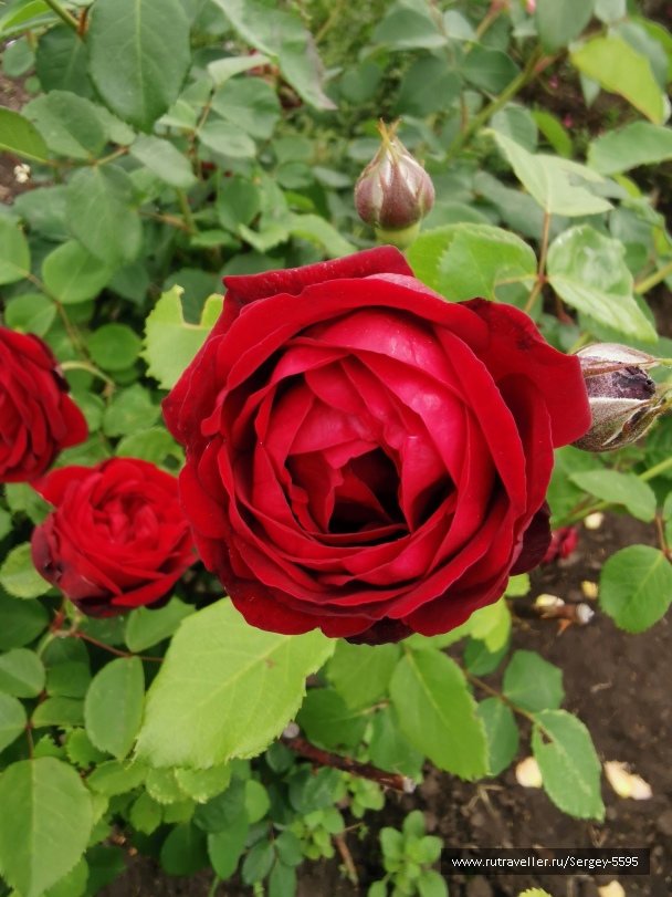 photo 2148328