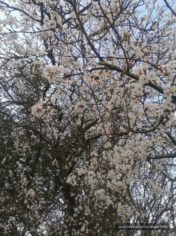 photo 2148640