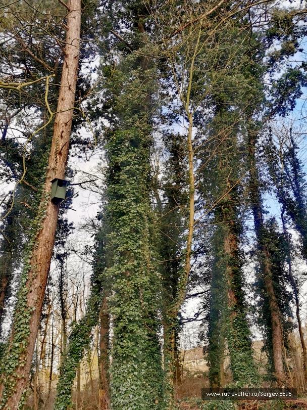 photo 2148657