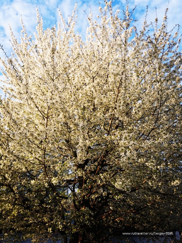 photo 2148985