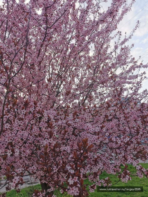 photo 2149922