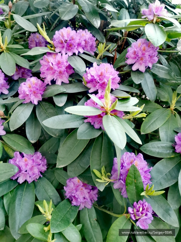 photo 2152302