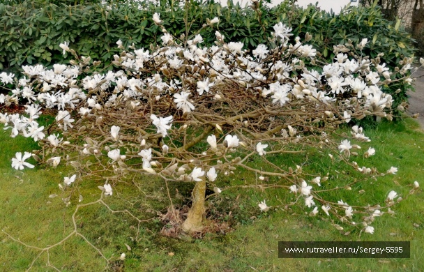 photo 2152575