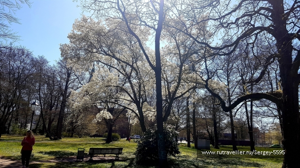 photo 2152926