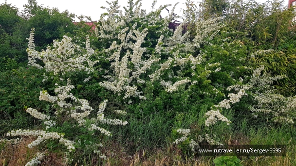 photo 2153342
