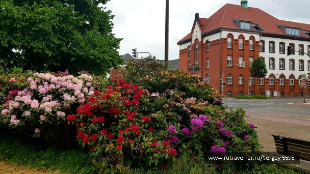 photo 2153560