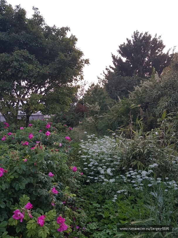 photo 2153651