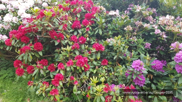 photo 2153719
