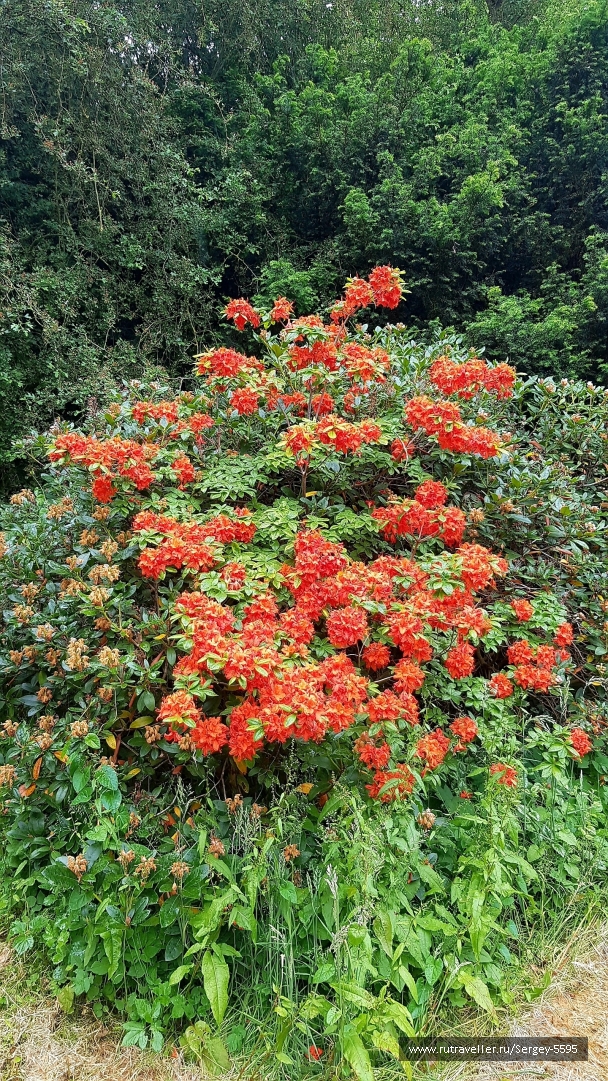 photo 2154117