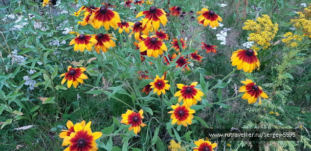photo 2156309