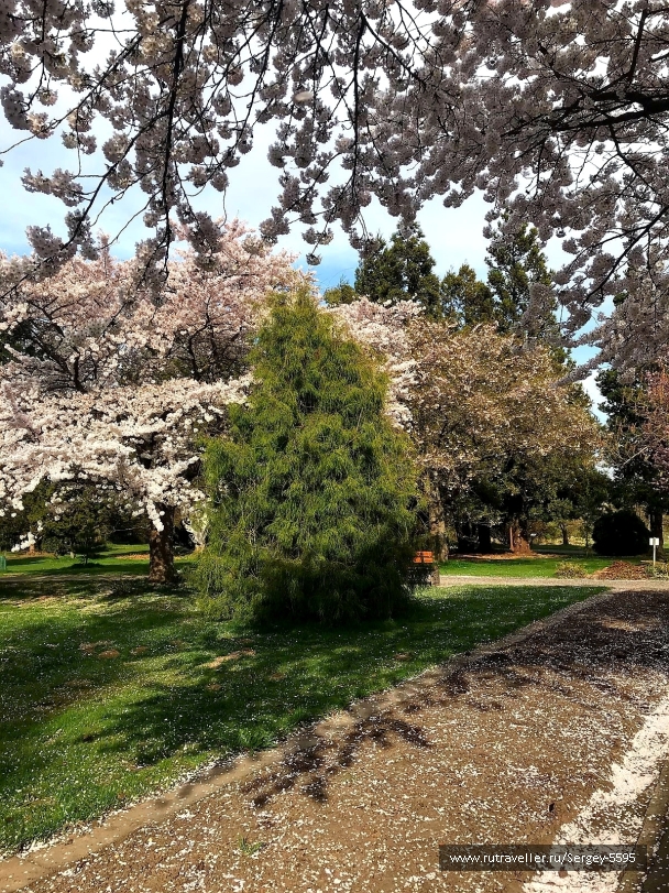photo 2159881