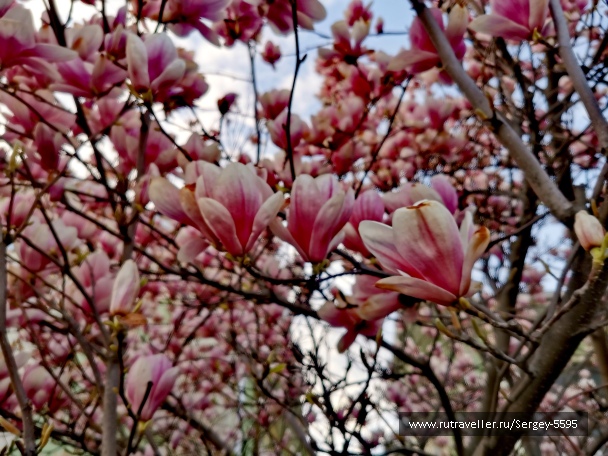 photo 2162363