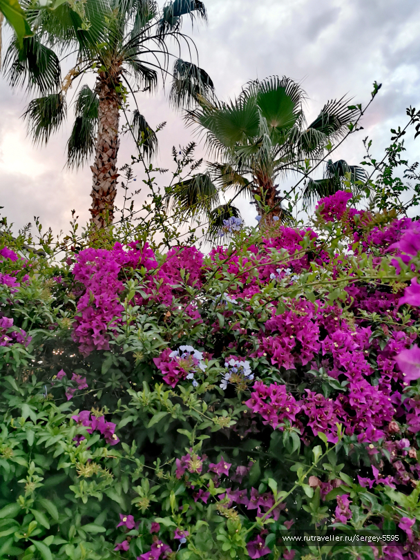 photo 2128846