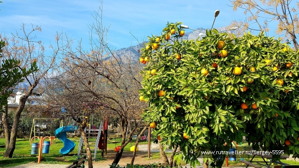 photo 2142422
