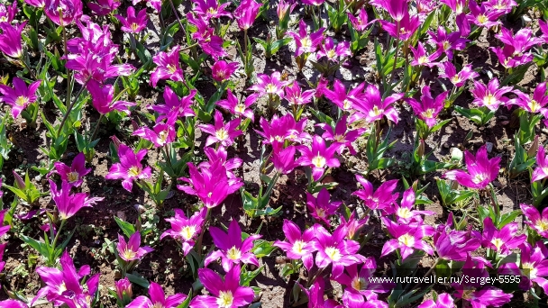 photo 2154029