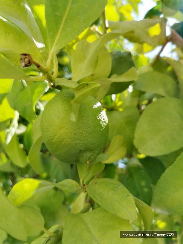 photo 2158897