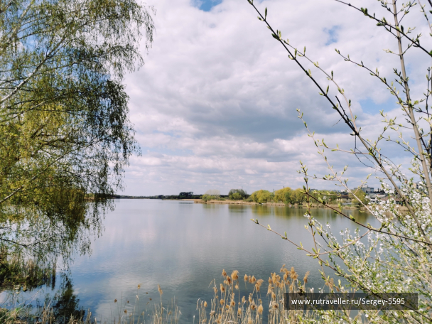 photo 2129025