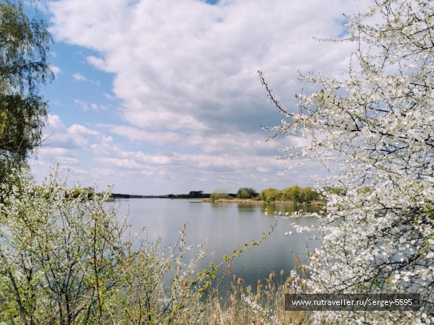photo 2142677