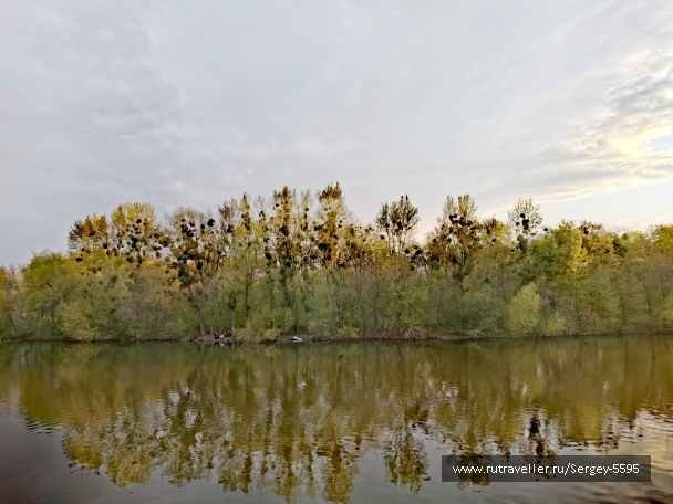 photo 2143070