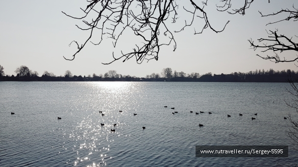 photo 2147657