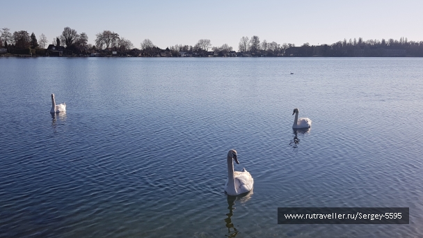 photo 2148977