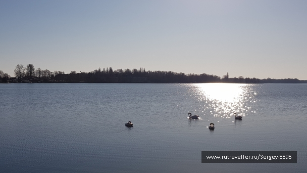 photo 2149603