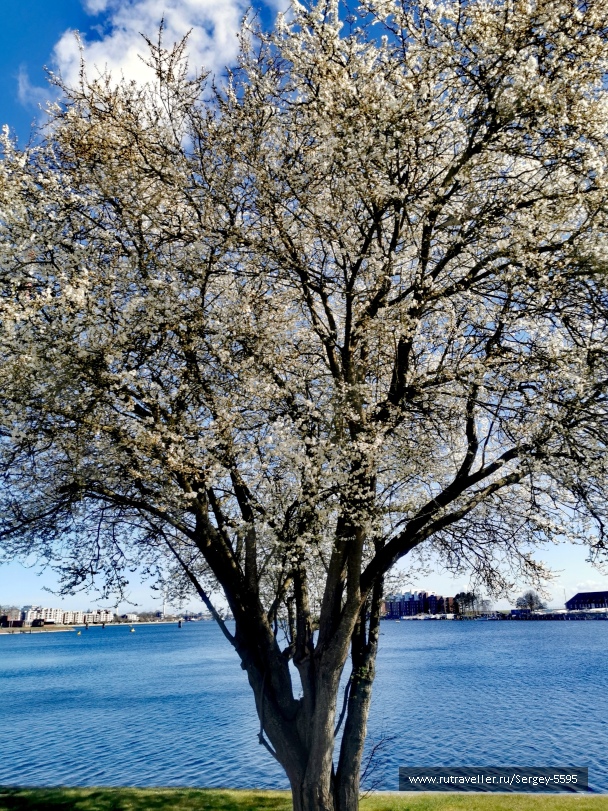 photo 2151206