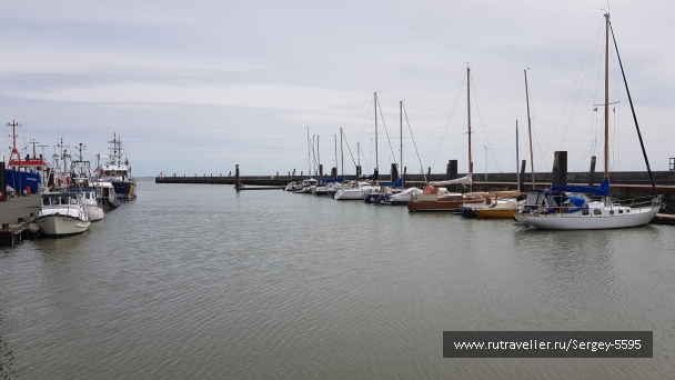 photo 2153188