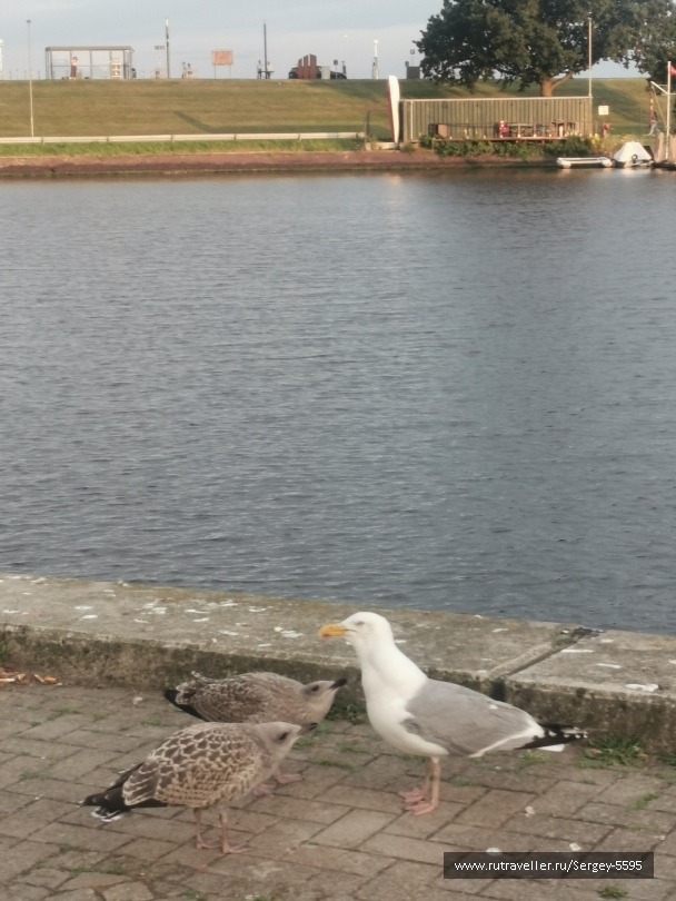 photo 2156423