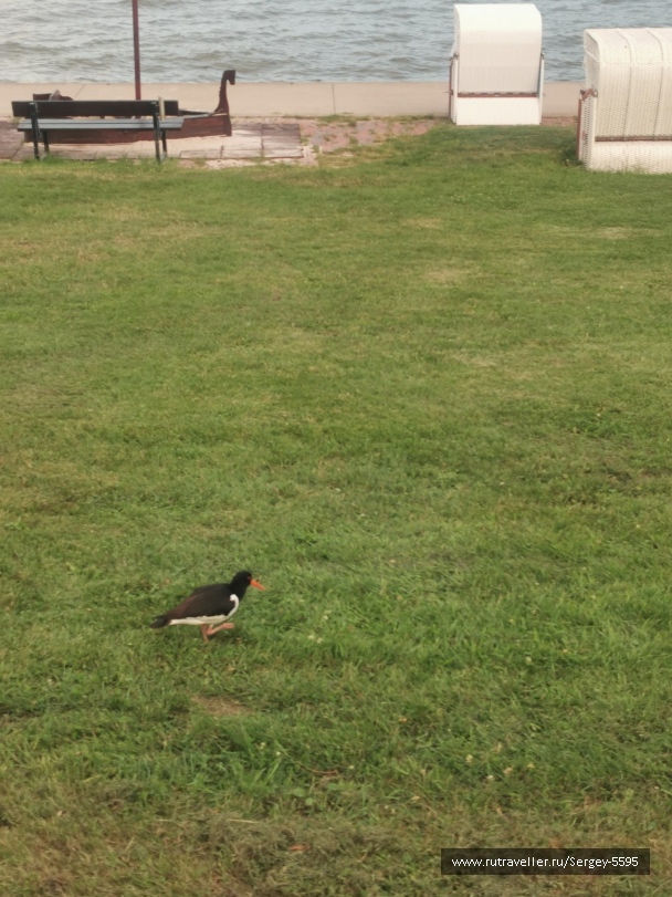 photo 2156424
