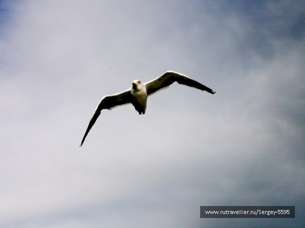 photo 2159255