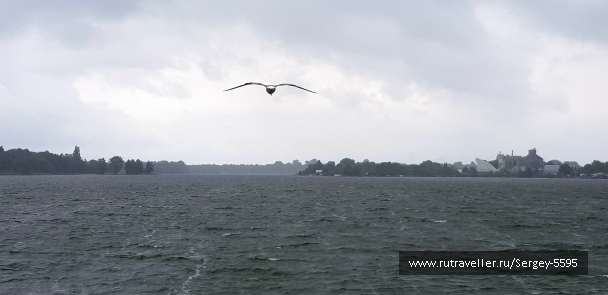 photo 2159526