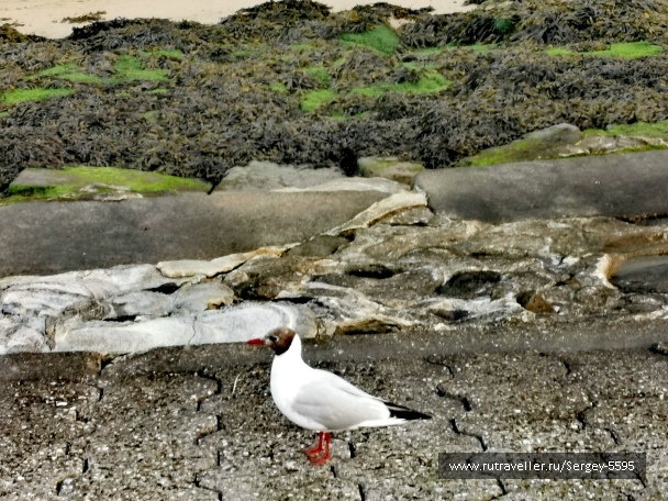 photo 2160173