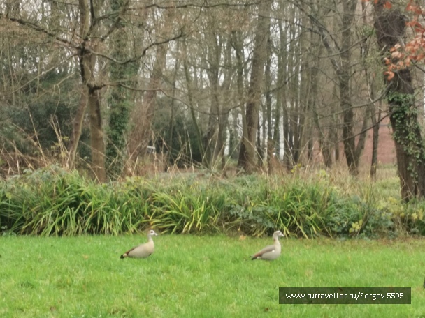 photo 2143397
