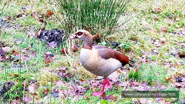 photo 2144553