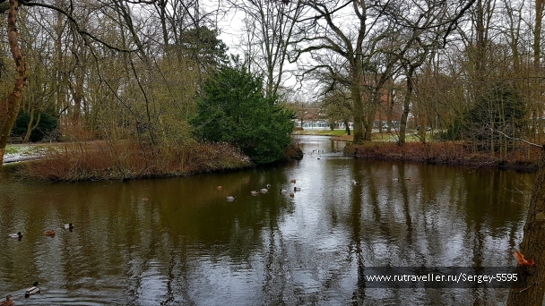 photo 2153724