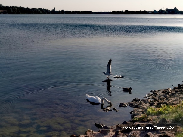 photo 2153810