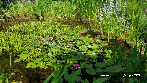 photo 2154429