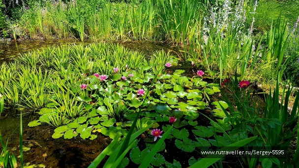 photo 2156314