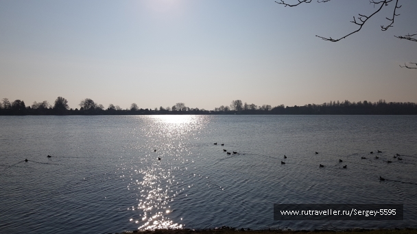 photo 2156497