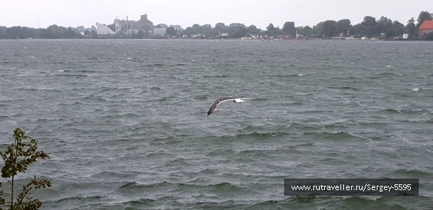photo 2156709